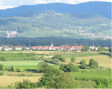 Gemeinde Tiengen | Stadtteil von Freiburg i.Br.